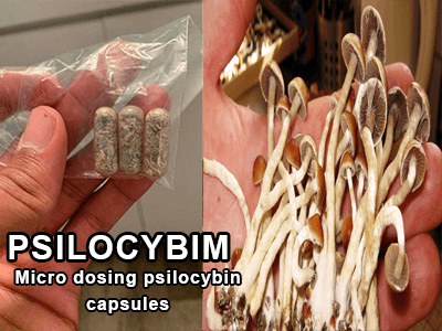 psilocybim-microdoses